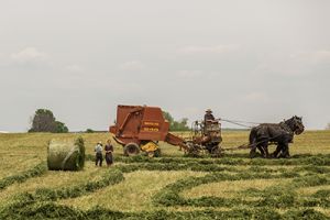 Agriculture